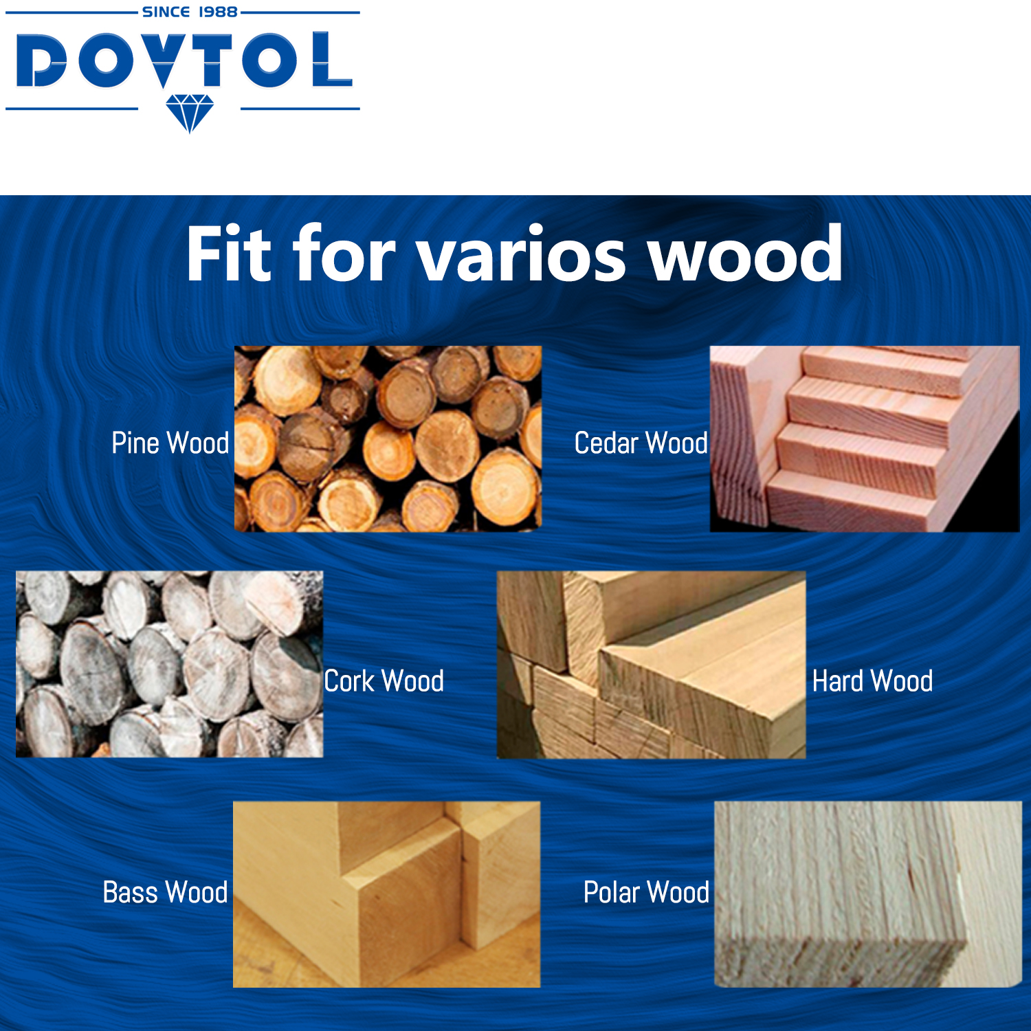 Inserts de coupe de rechange e - Woodworking Or Woodworking avis et prix